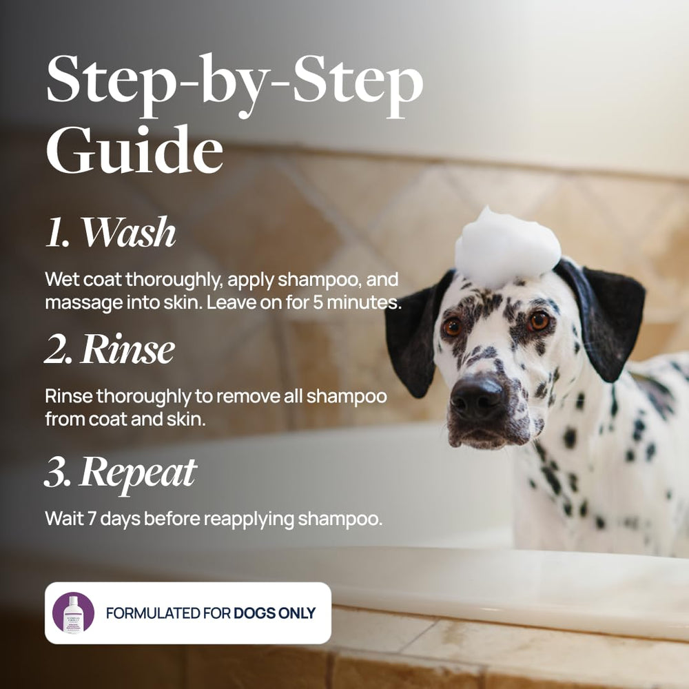 Veterinary Formula Clinical Care antiparasitic shampoo two-pack packaging for multi-dog households.