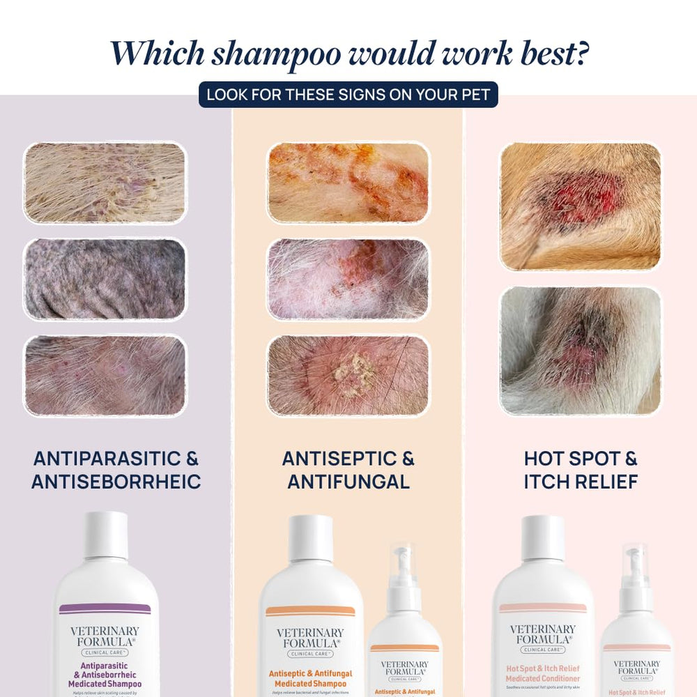 Veterinary Formula Clinical Care bundle packaging shows two products for routine care