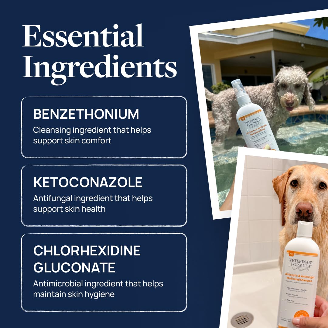 Veterinary Formula Clinical Care close-up skin showing balanced coat and comfort