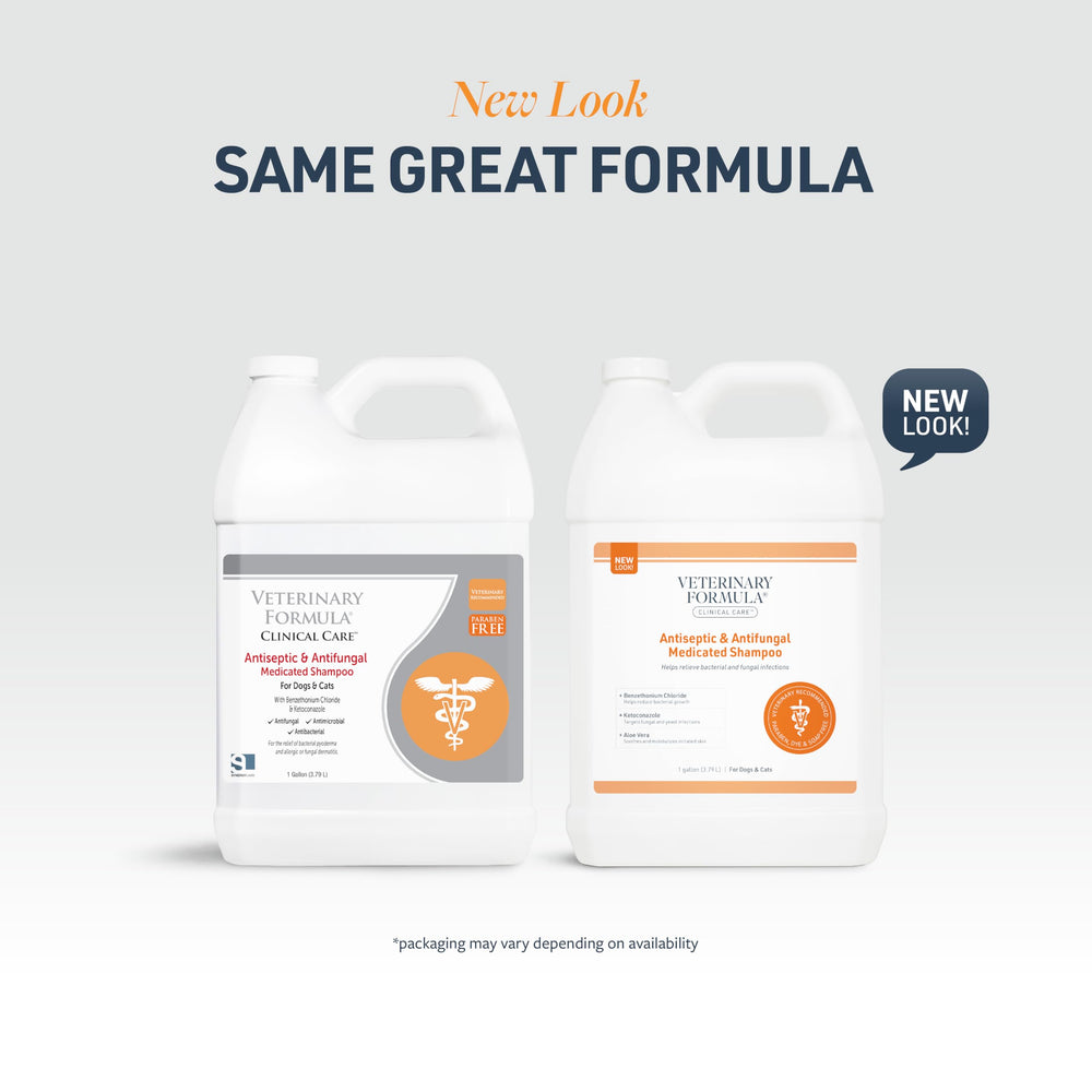 Dog bath with Veterinary Formula Clinical Care for gentle cleansing