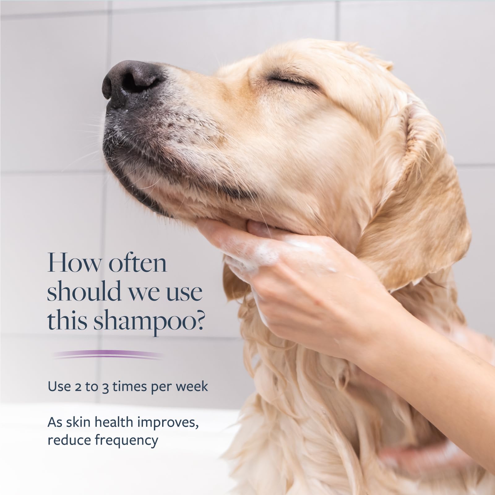 Veterinary Formula Clinical Care shampoo tub 128oz ready for home grooming