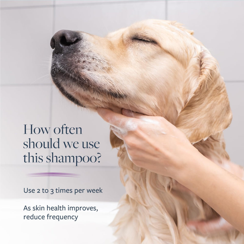 Veterinary Formula Clinical Care shampoo tub 128oz ready for home grooming