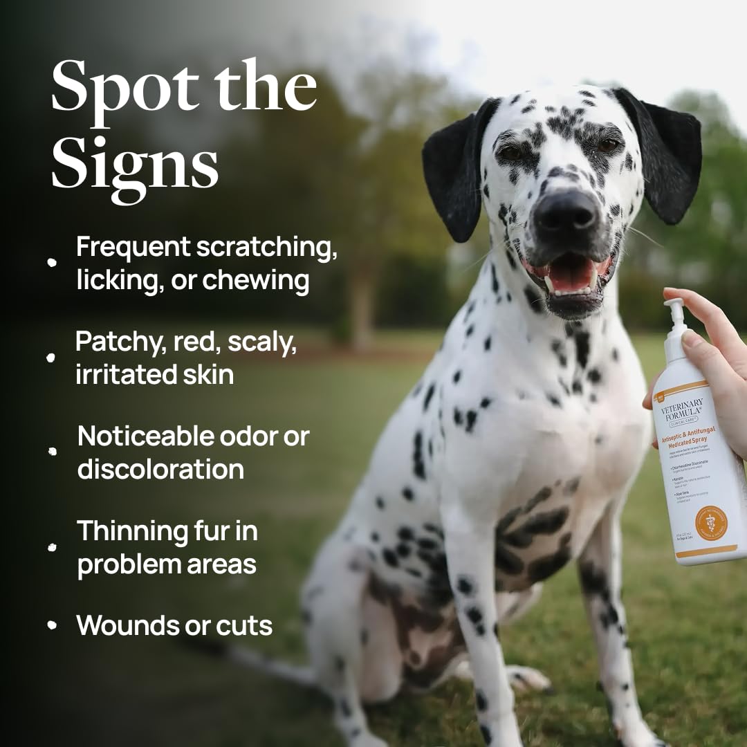 Application of Veterinary Formula Clinical Care spray on bottle for easy use