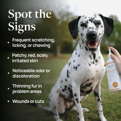 Application of Veterinary Formula Clinical Care spray on bottle for easy use