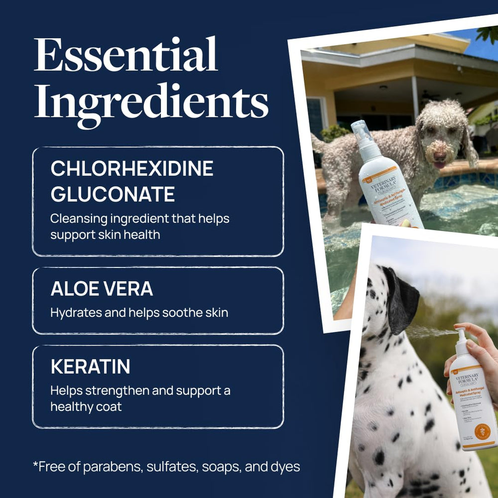 Cat coat treated with Veterinary Formula Clinical Care spray highlighting skin comfort
