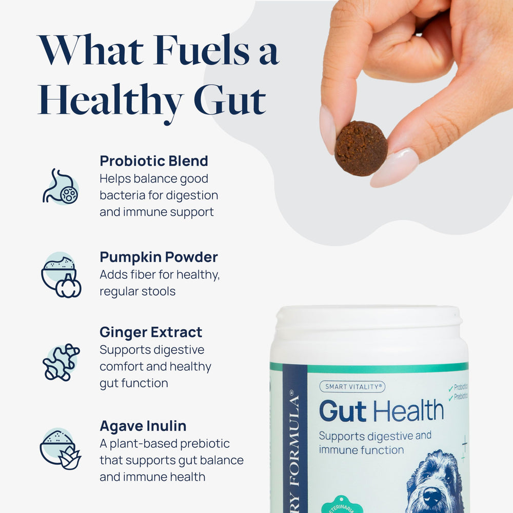 Veterinary Formula Gut Health Chews USA-made with NASC seal