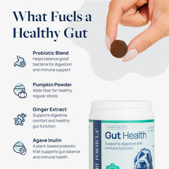 Veterinary Formula Gut Health Chews USA-made with NASC seal