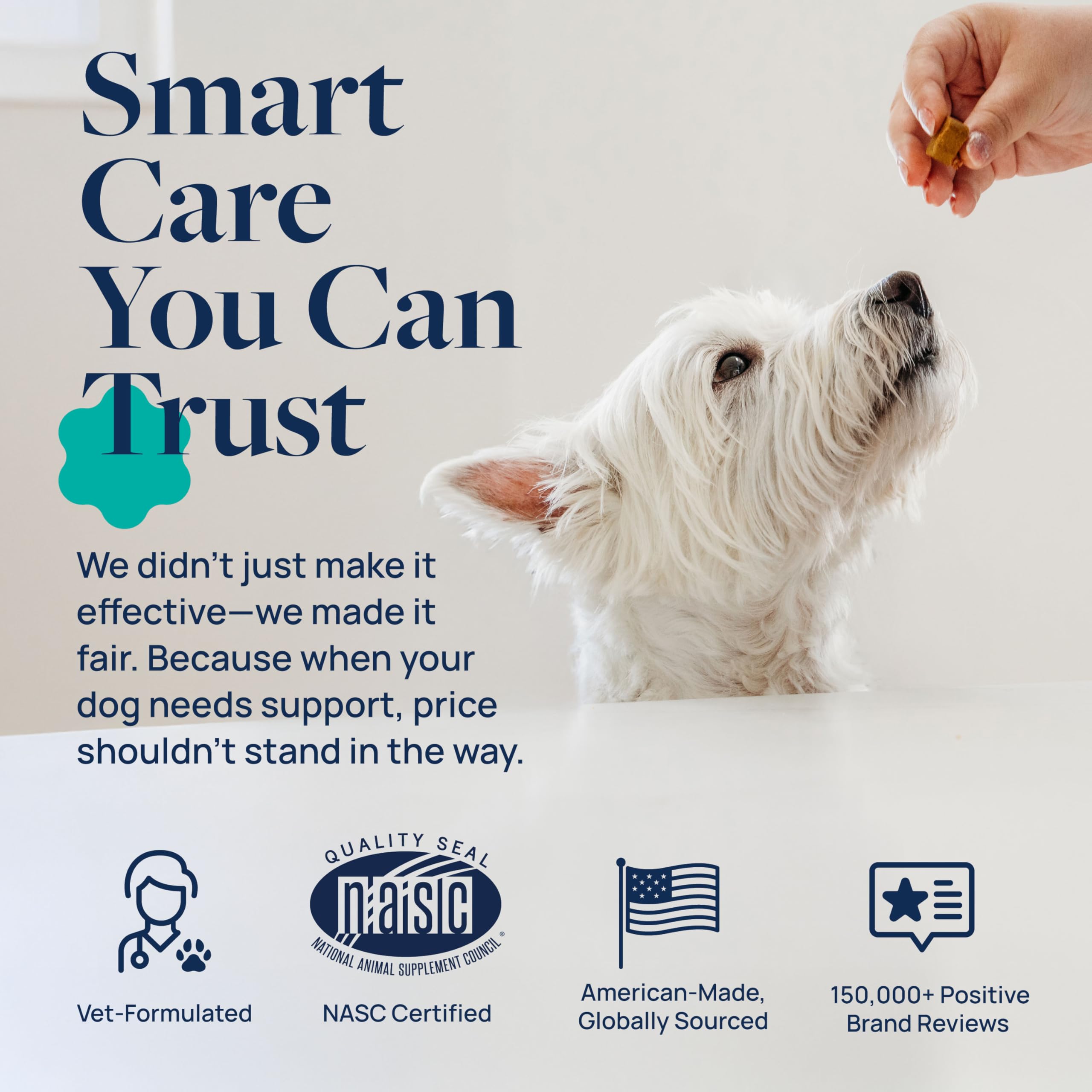 Dog of various sizes happily accepts Veterinary Formula Gut Health chew
