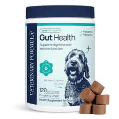 Veterinary Formula Gut Health Soft Chews in a dog bowl for daily digestive support
