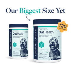Veterinary Formula Gut Health Soft Chews with pumpkin and ginger for digestive comfort