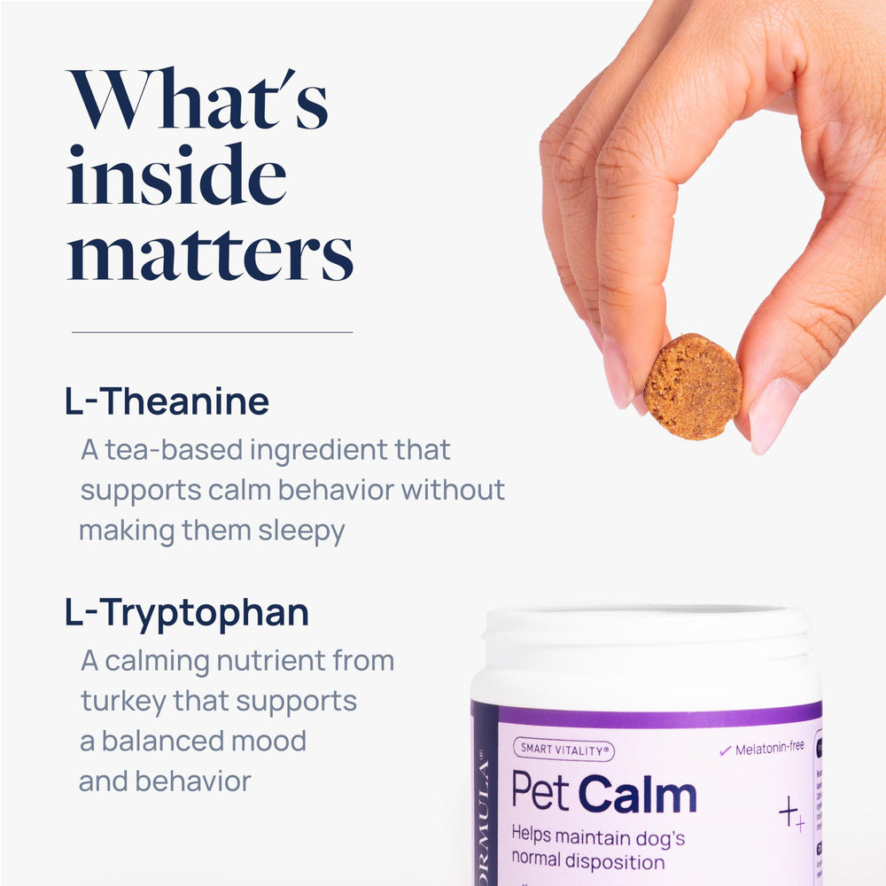 Pet Calm dog-eating-chews demonstrates easy administration as part of daily routine.