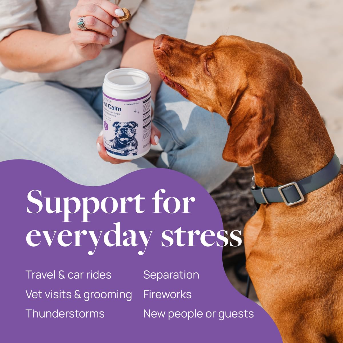 Veterinary Formula Pet Calm pork-flavor chews for stress-free moments during vet visits.
