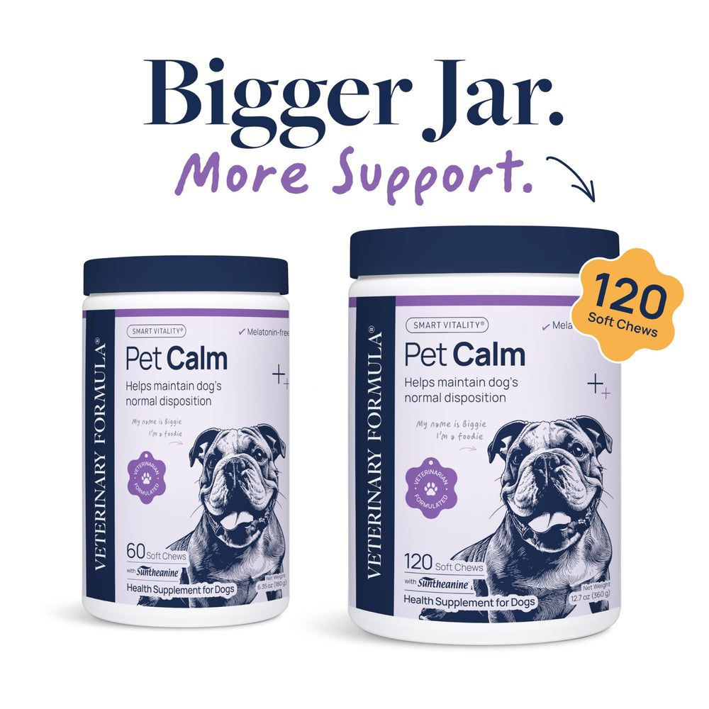 Pet Calm soft chews close-up highlight tasty, vet-formulated calming support for daily calm.