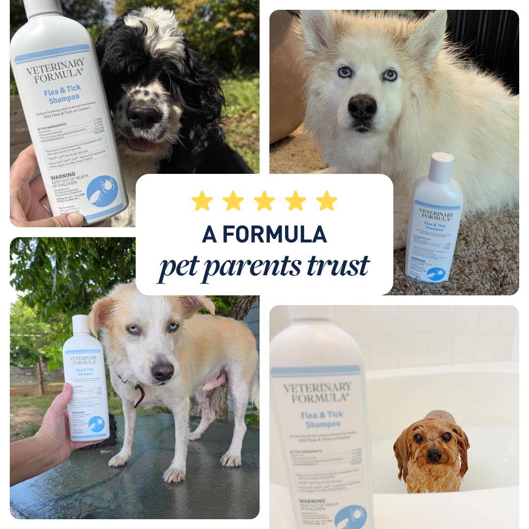 Veterinary Formula shampoo bath time dogs cats supports routine bathing