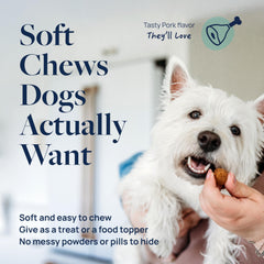 Packaging shot of Veterinary Formula Smart Vitality Dental Chews for dogs
