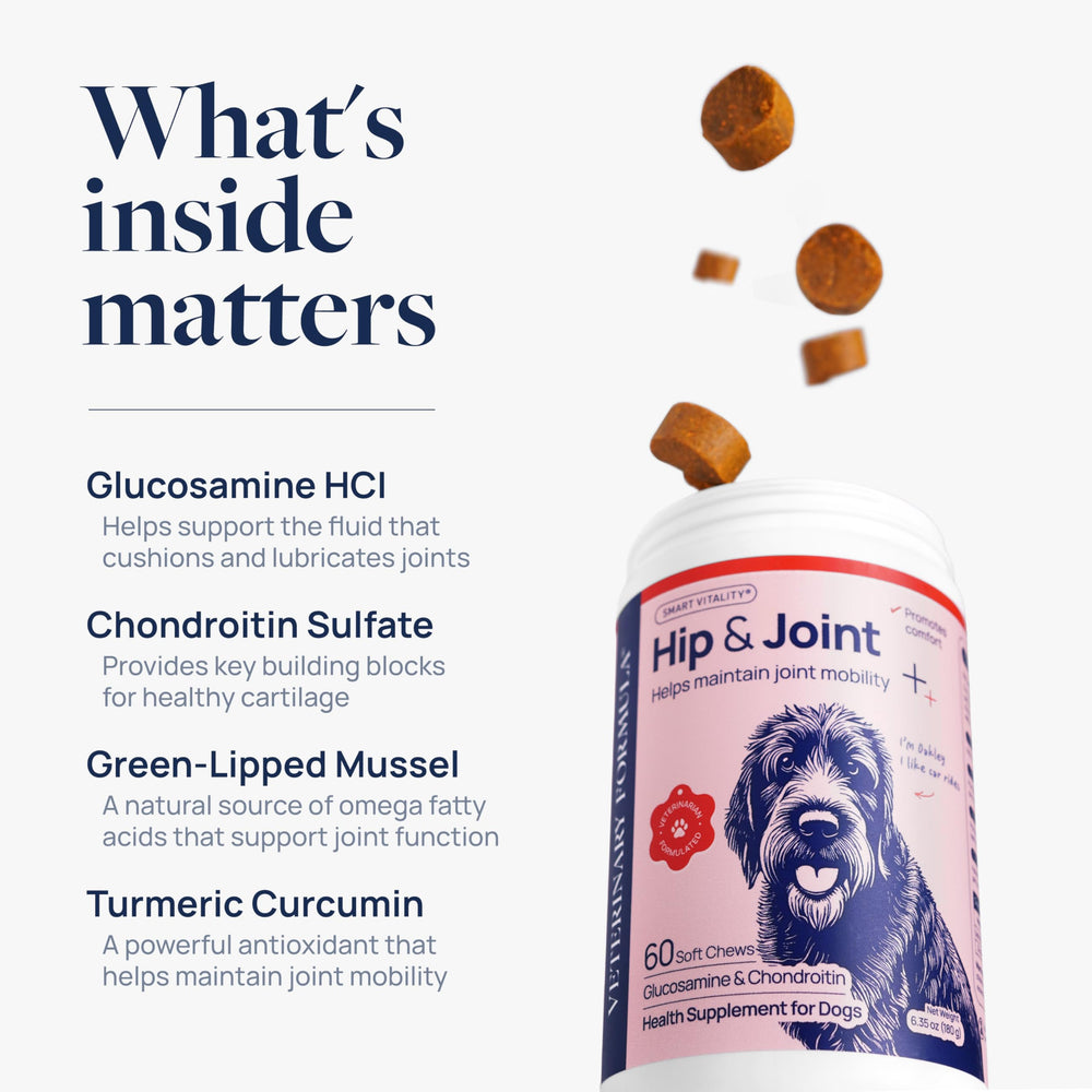 Pork-flavored vet-formulated chews appealing to dogs, promoting consistent use