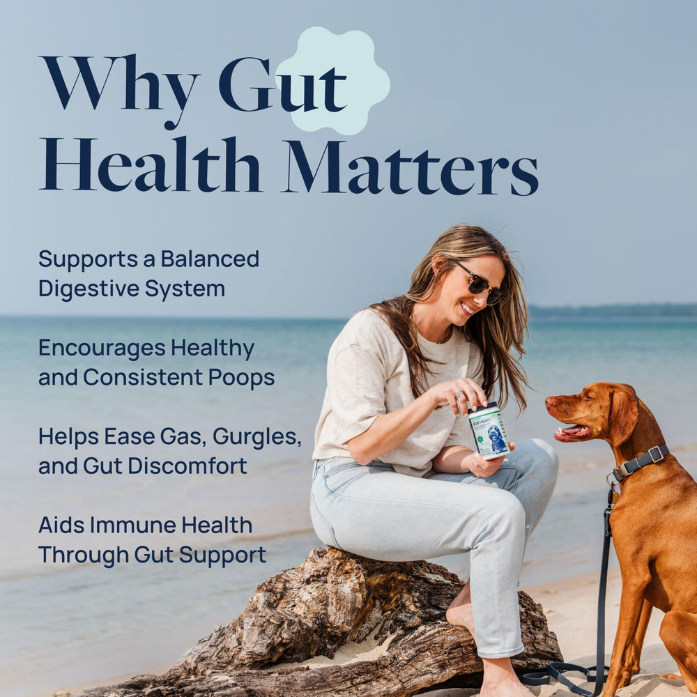 Veterinary Formula Smart Vitality probiotic chews close-up promoting gut balance