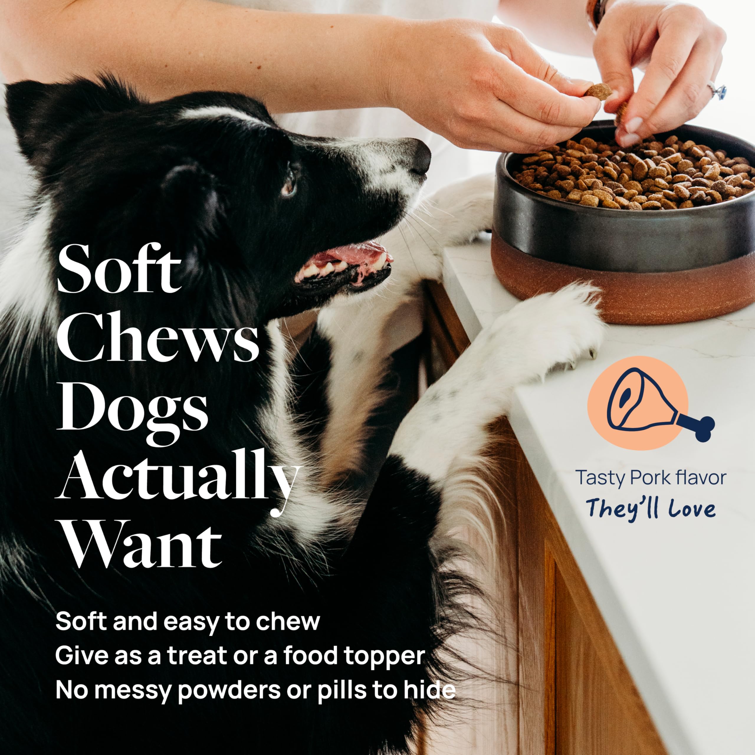 Antioxidants combined with probiotics supporting immune health in dogs.
