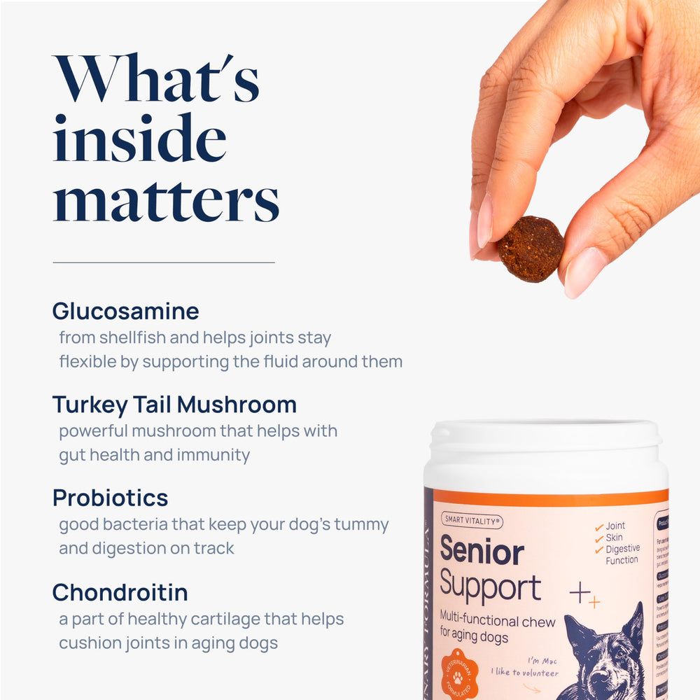 Ingredients label highlighting glucosamine and chondroitin for joint support.