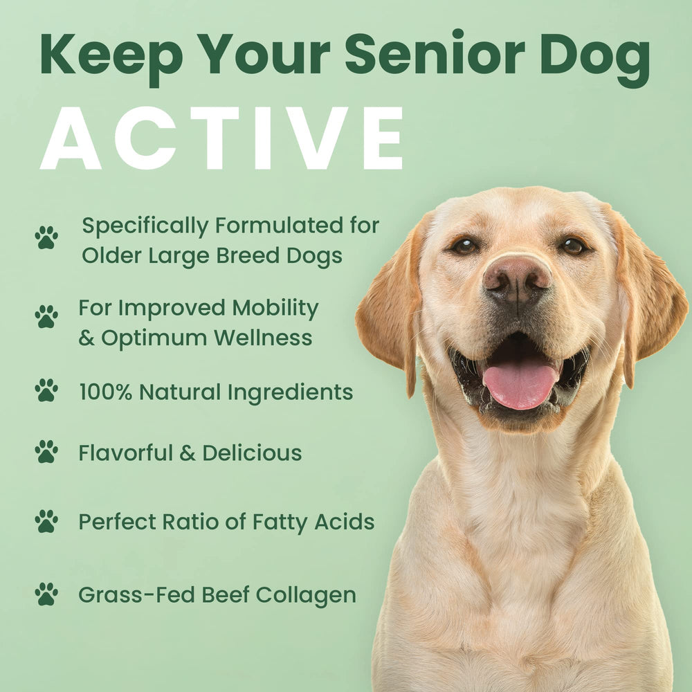 Palatable daily option for dog joint support from Veterinary Naturals Hemp & HIPS