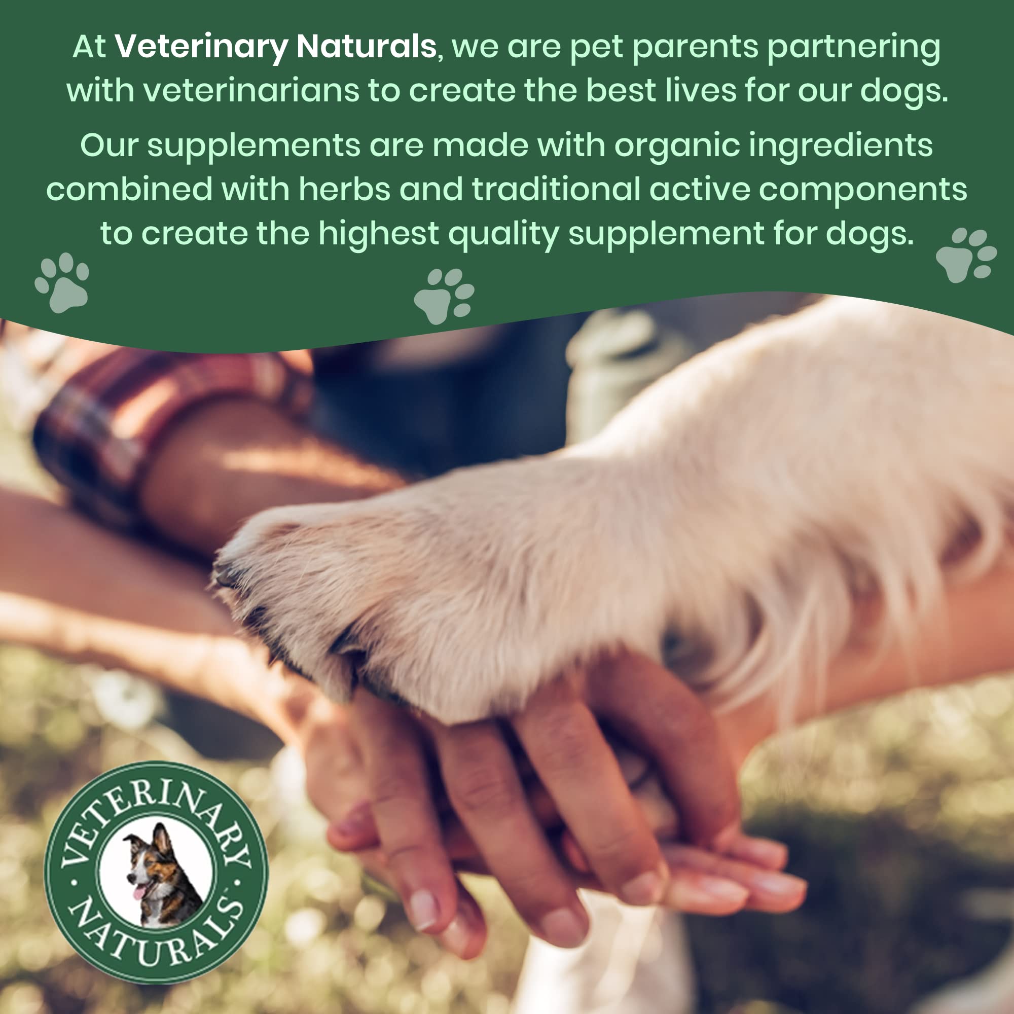 Veterinary Naturals Hemp and Hips large breed dog enjoying treat outdoors