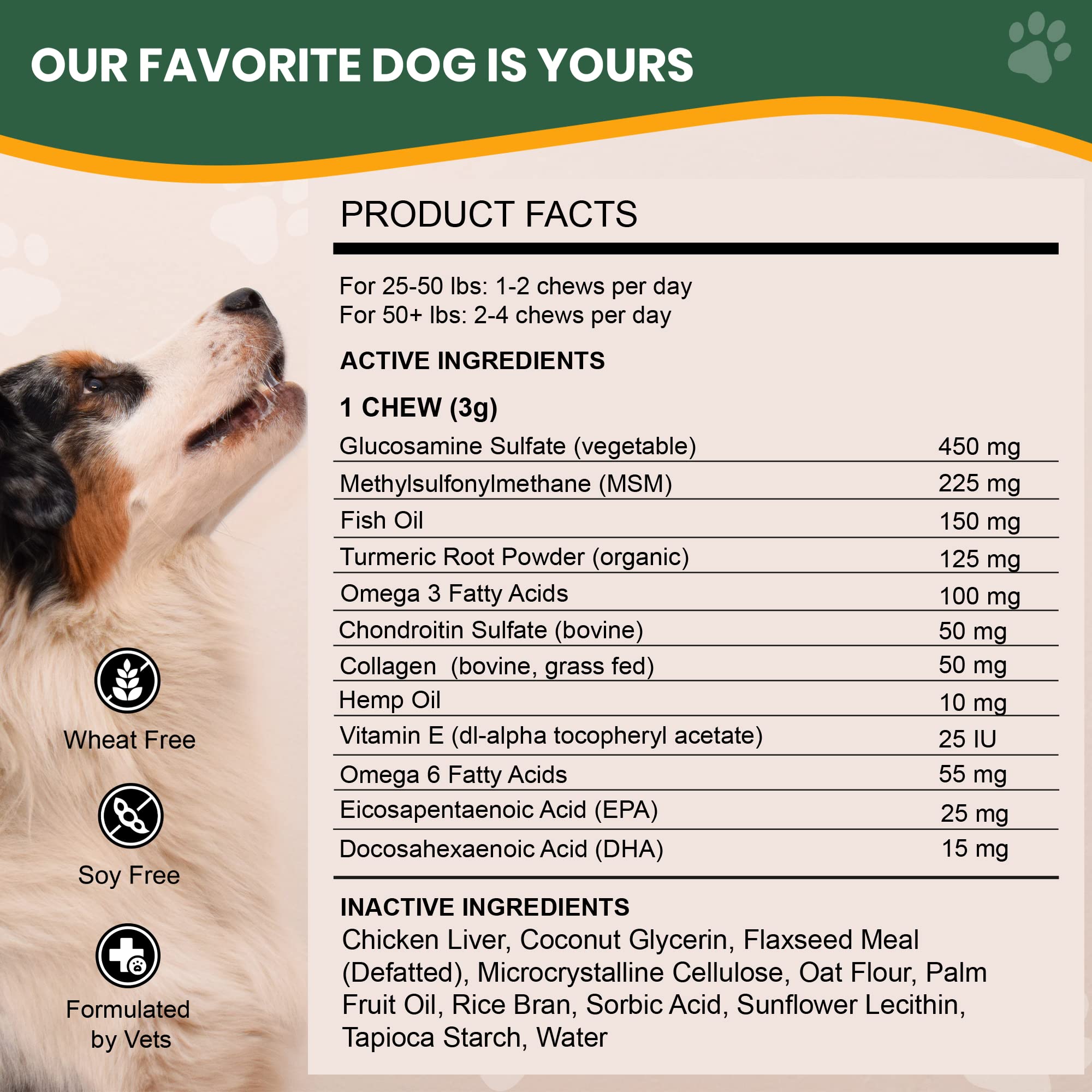Large dog enjoying Veterinary Naturals Hemp & HIPS chews for comfort