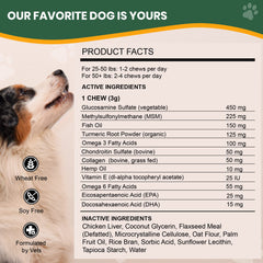 Large dog enjoying Veterinary Naturals Hemp & HIPS chews for comfort