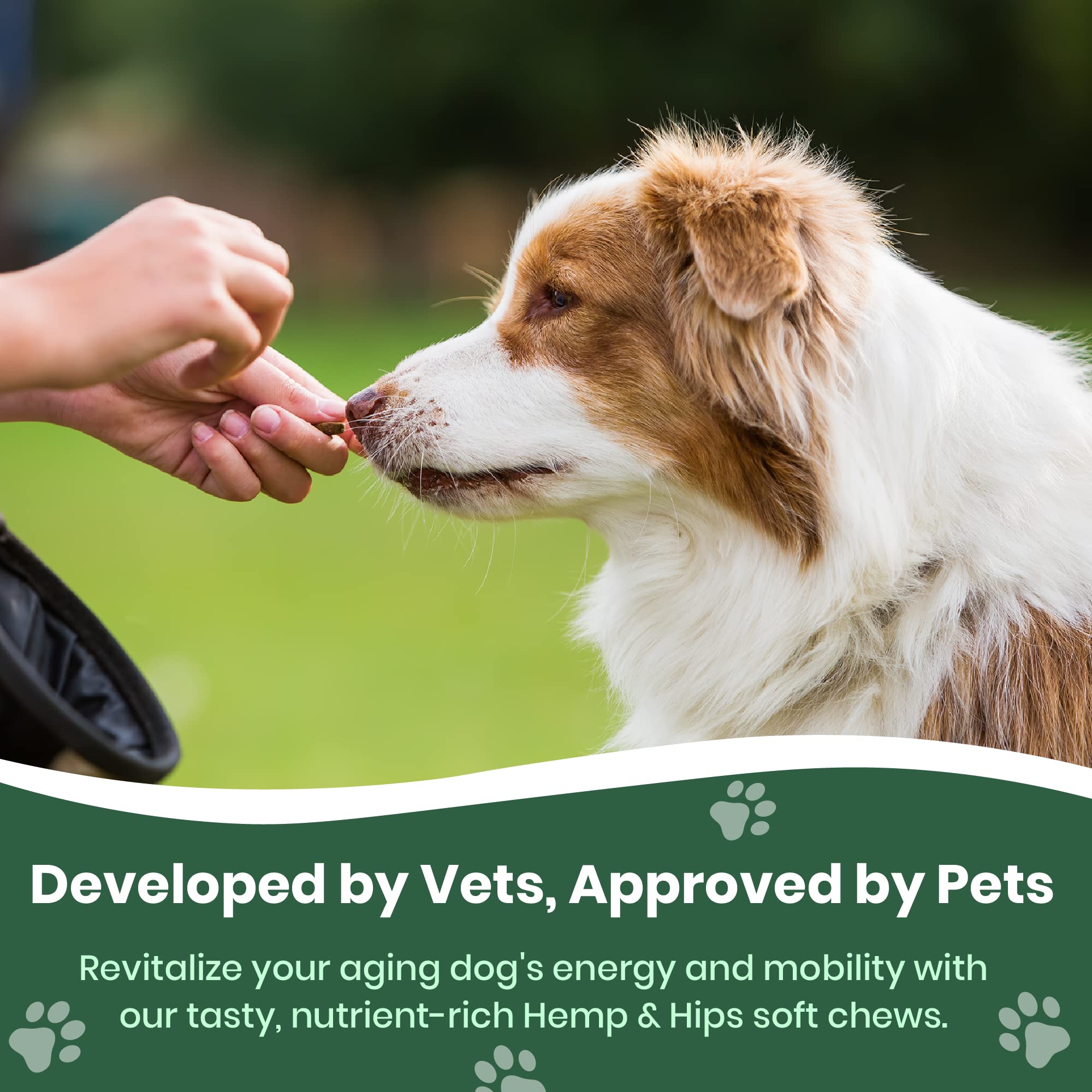 Close-up of soft chews from Veterinary Naturals Hemp & HIPS for mobility
