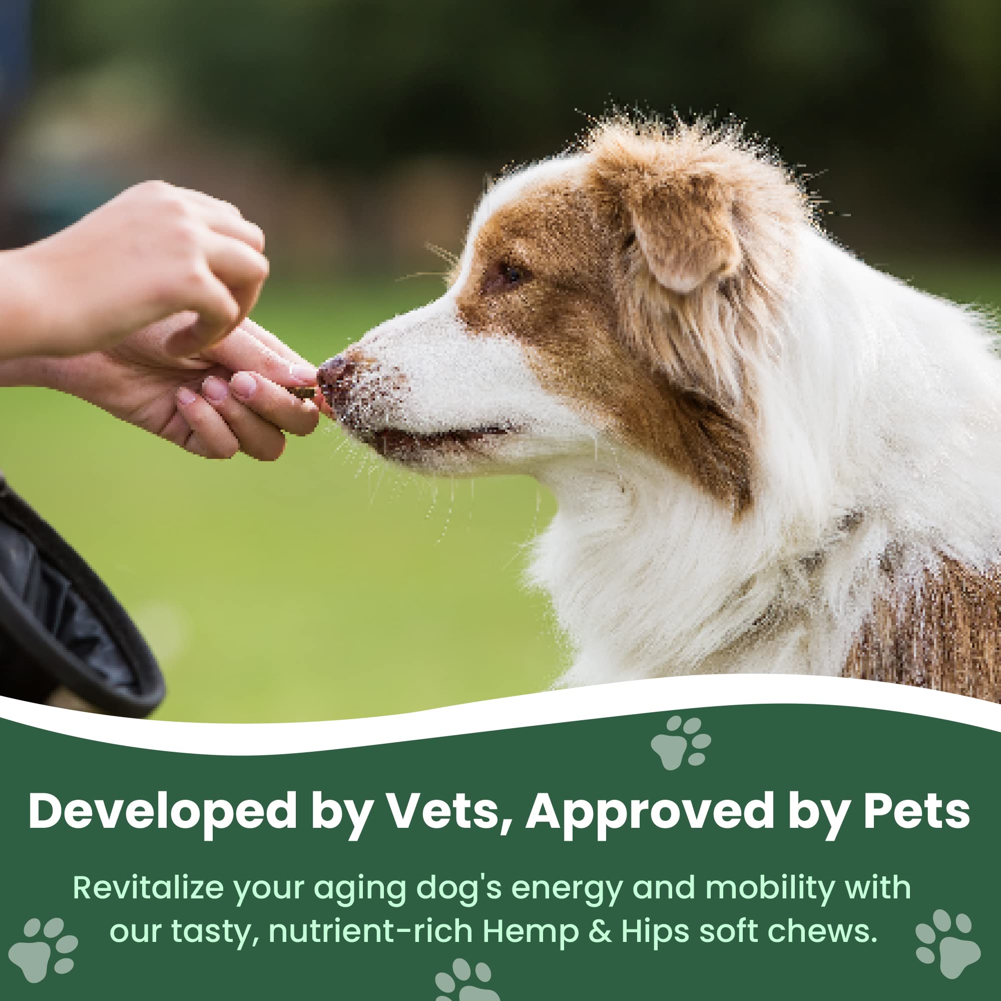 Veterinary Naturals Hemp & Hips soft chews provide tasty daily joint support.