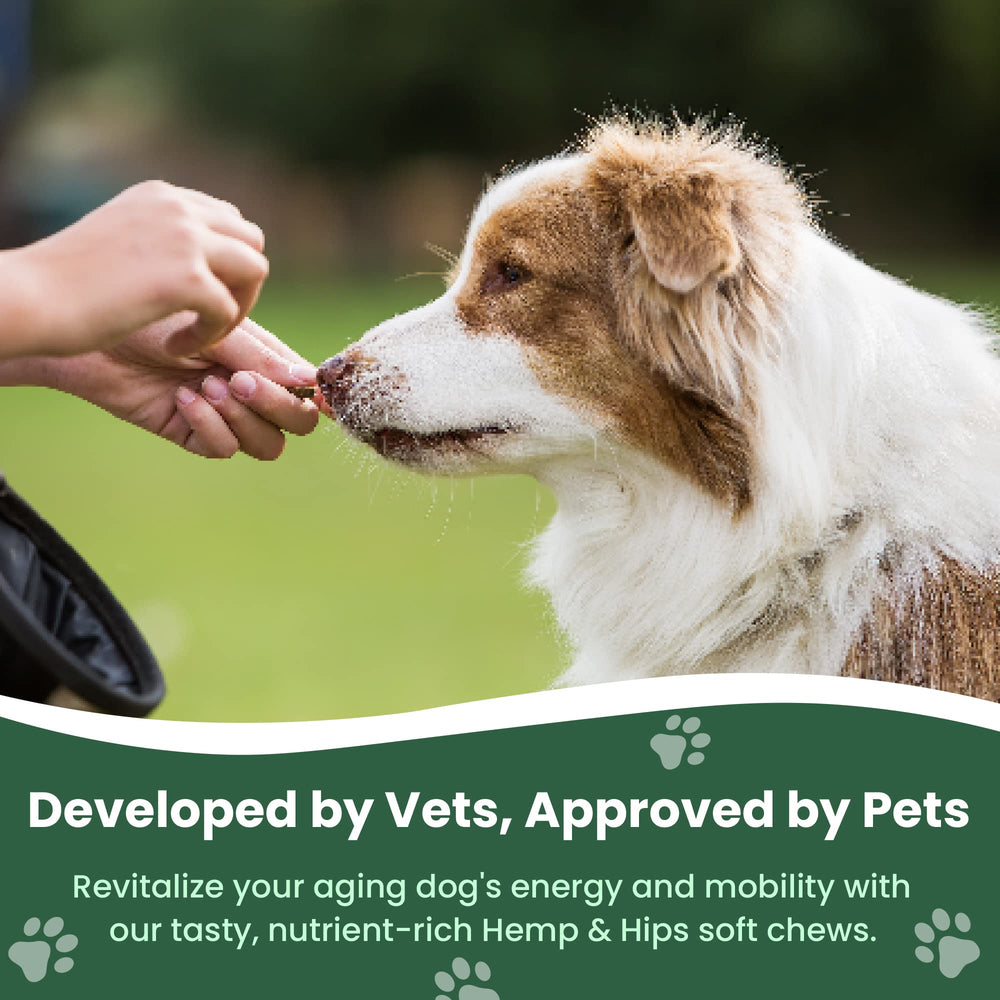 Veterinary Naturals Hemp & Hips soft chews provide tasty daily joint support.