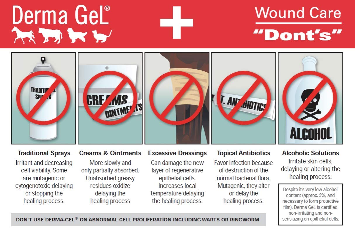 Application area with thick gel layer from Veterinus Derma Gel