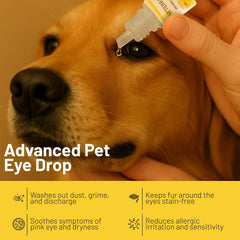 Veterra Cat Eye Drops with dropper for precise dosing.