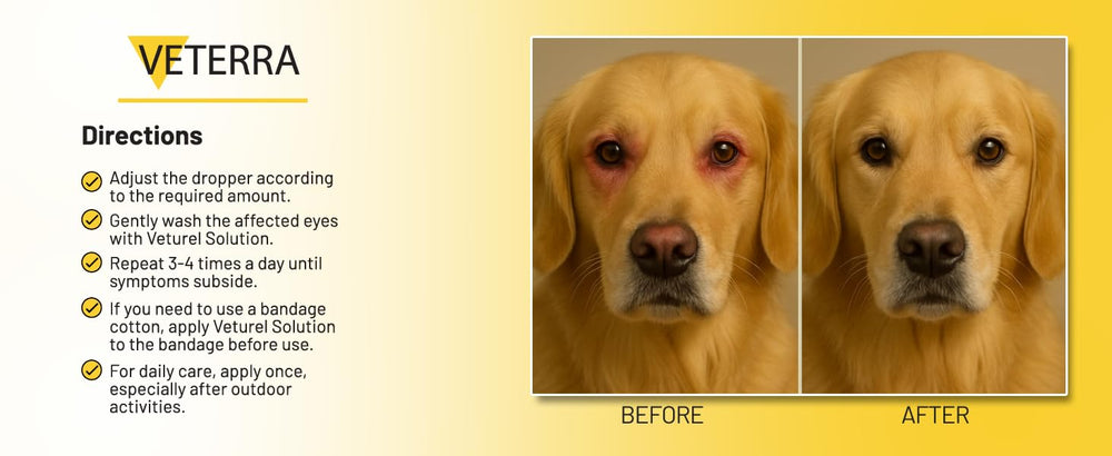 Veterra daily use dose instruction image with simple steps.