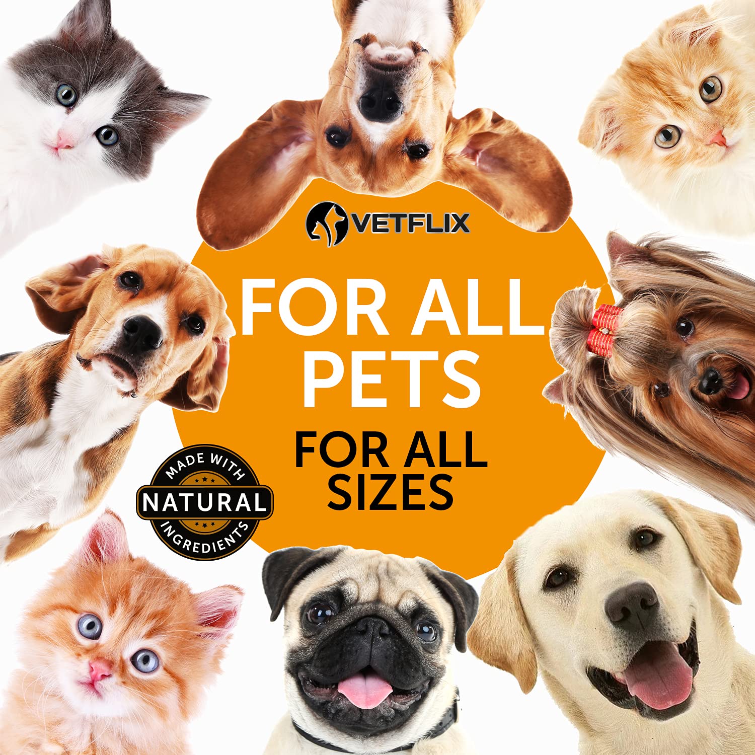 Vetflix drops being measured for small pets to support daily use.