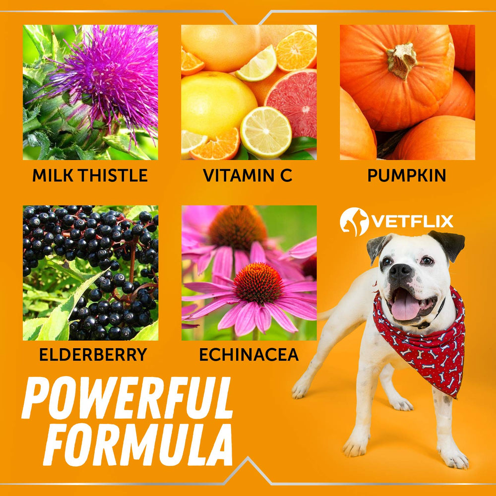 Vetflix drops beside packaging noting vet-formulated and USA-made quality.