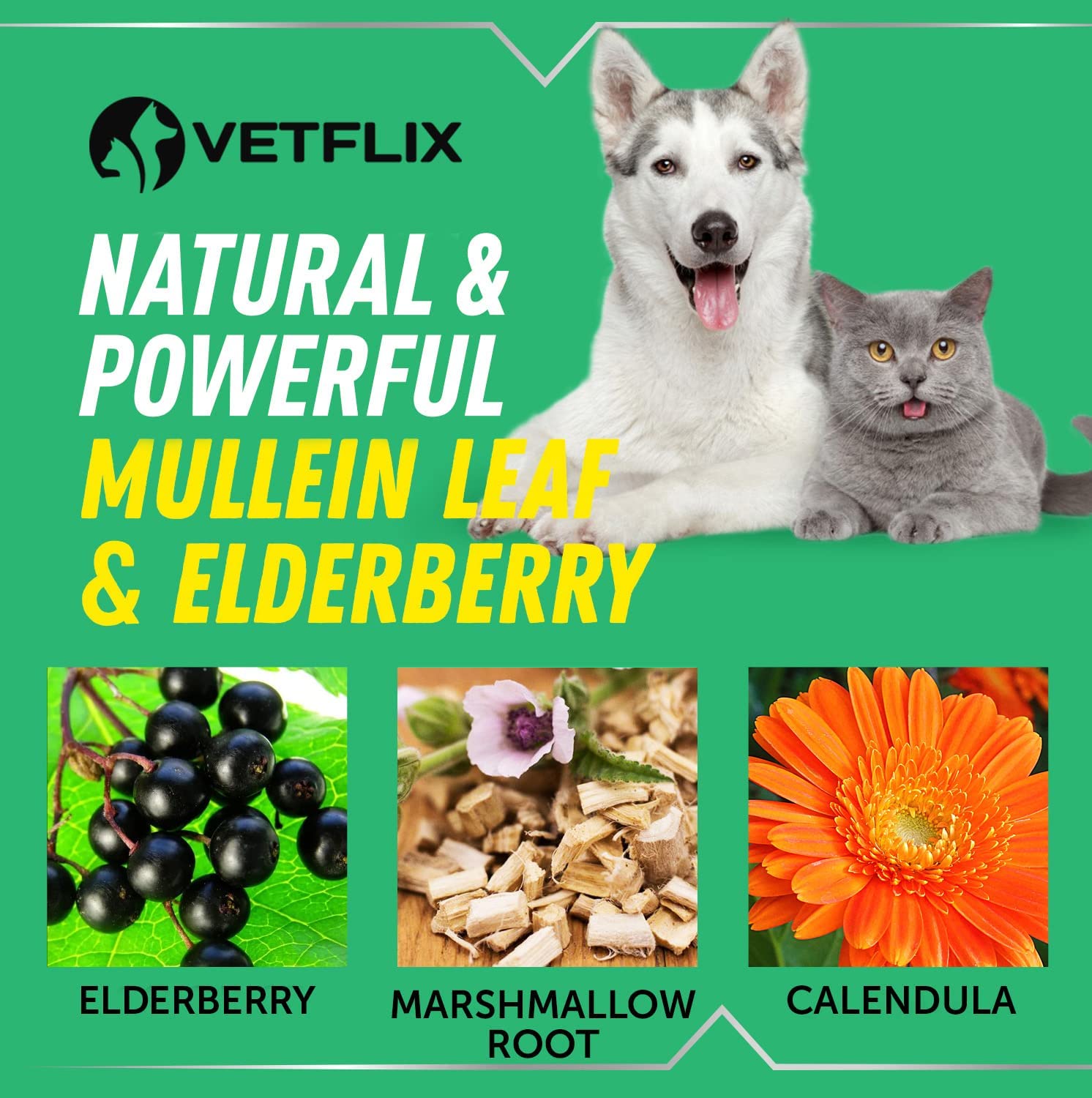Vetflix Cough Relief bottle shown for small to large pets usage