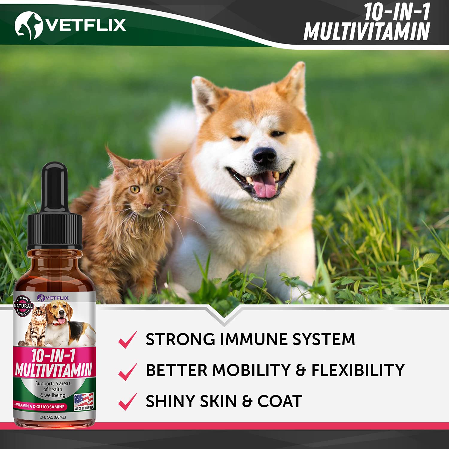 Vetflix immune support label close-up highlighting health benefits for pets.