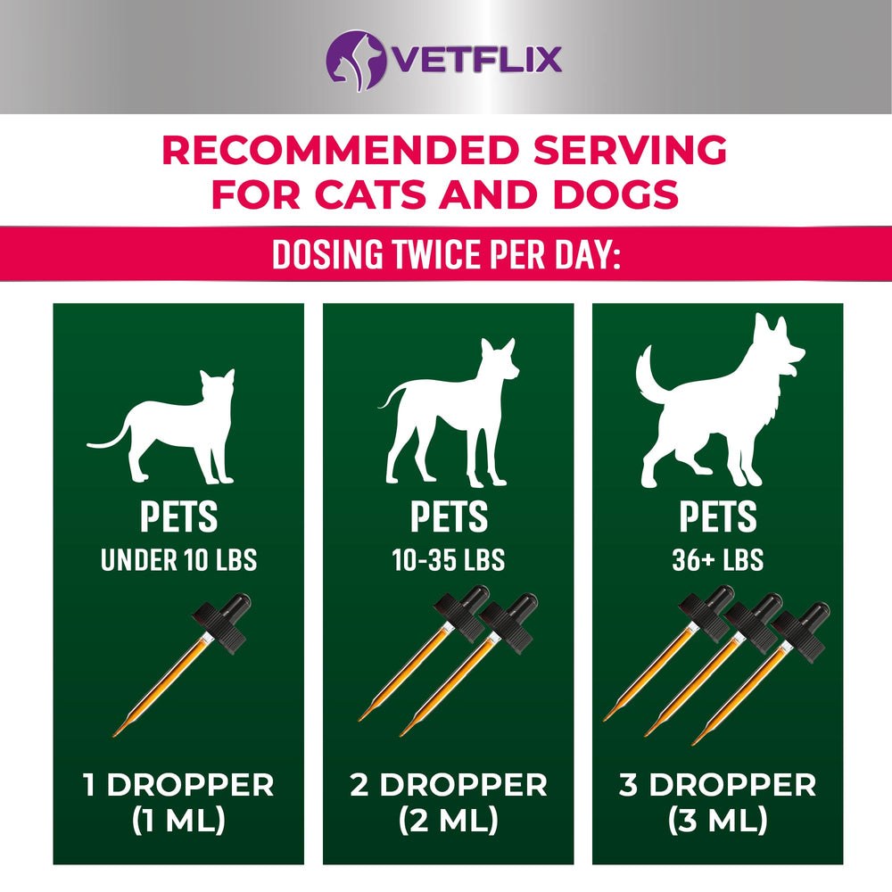 Vetflix skin and coat health with bottle and glossy fur close-up.