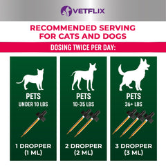 Vetflix skin and coat health with bottle and glossy fur close-up.