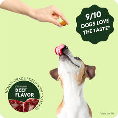Dog happily chews VetGrade beef treat for simple tick prevention.