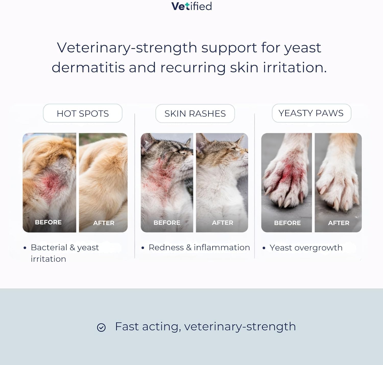 Vetified Yeast Dermatitis Spray bottle showing veterinary-strength formula