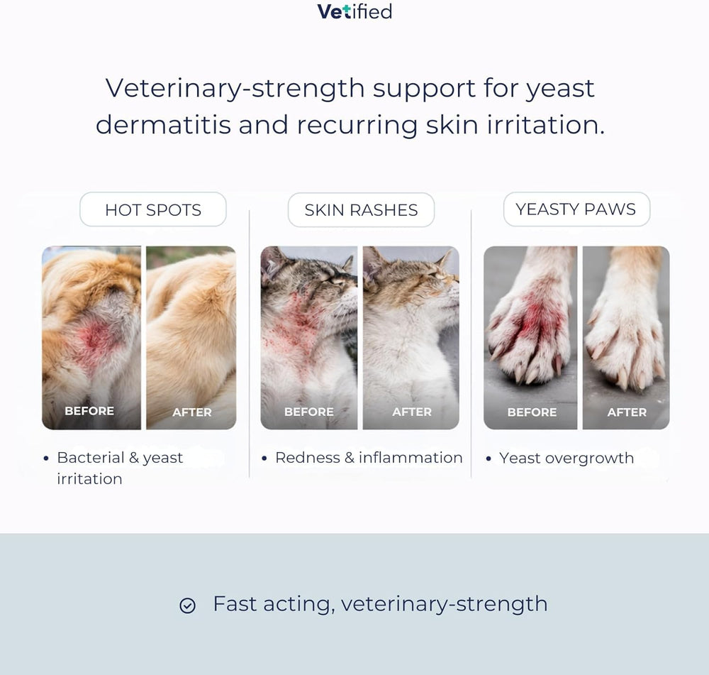 Vetified Yeast Dermatitis Spray bottle showing veterinary-strength formula