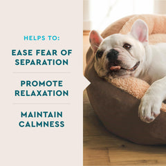 VetIQ Advanced Calming chews offered to a dog with owner at home to support calm time