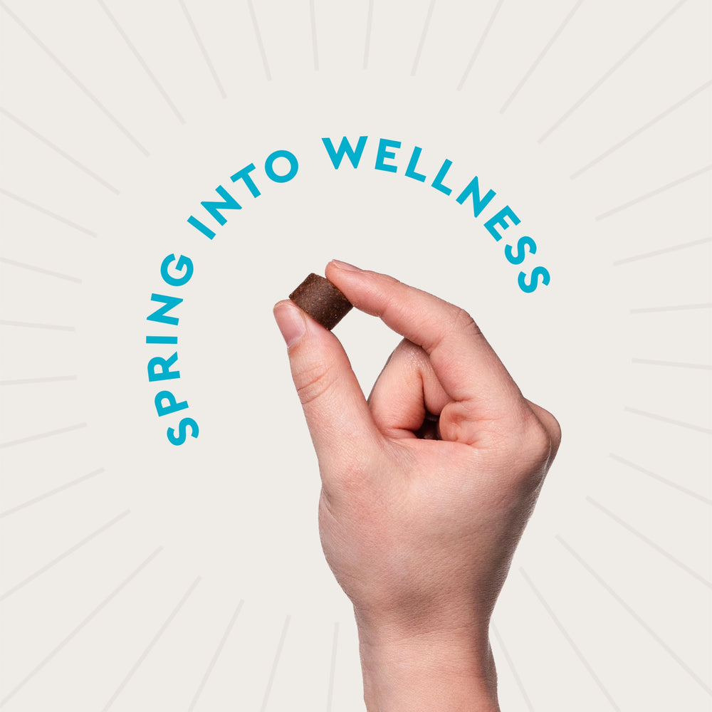 VetIQ Advanced Calming chews Hickory flavor shown with a happy dog