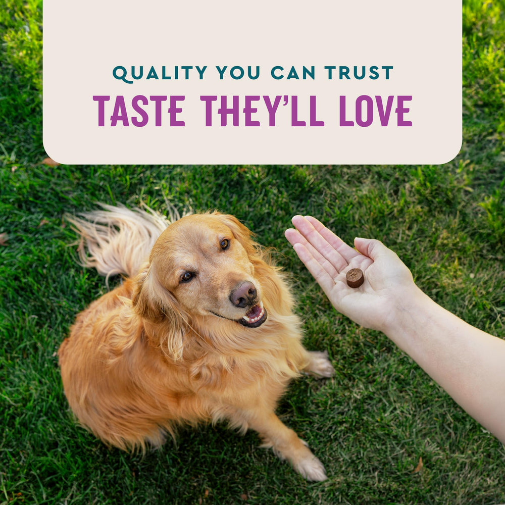 VetIQ Advanced Calming chews packaging close-up with product information