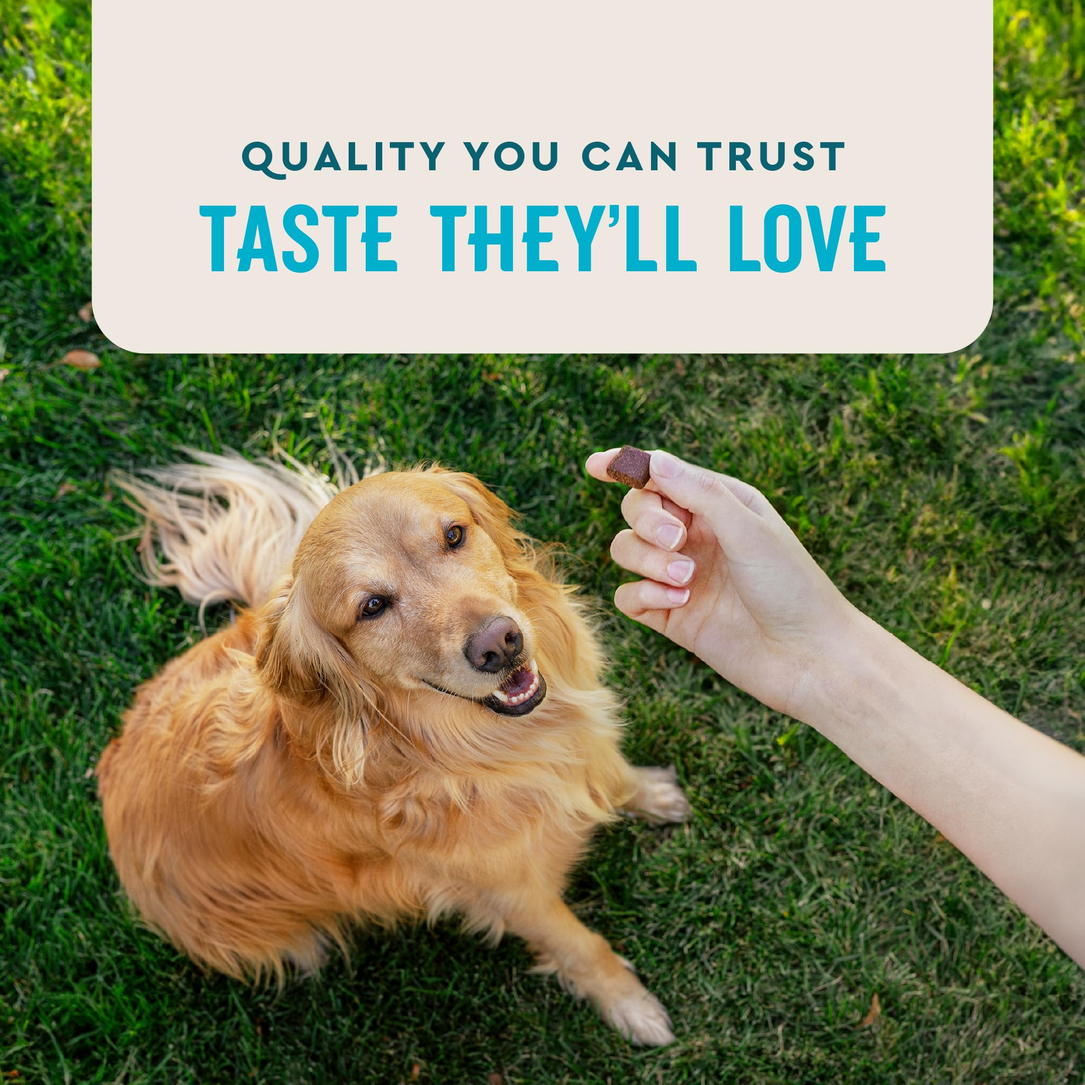 VETIQ Advanced Hip & Joint chews bag-open with visible labels and ingredients for transparency.