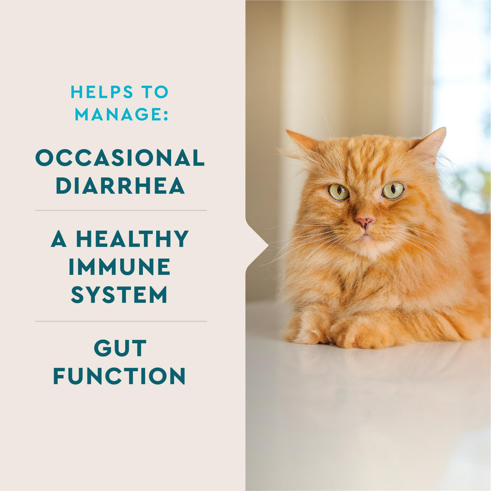 VetIQ Cat Probiotic Powder with chicken liver flavor appeals to cats.