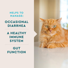 VetIQ Cat Probiotic Powder with chicken liver flavor appeals to cats.