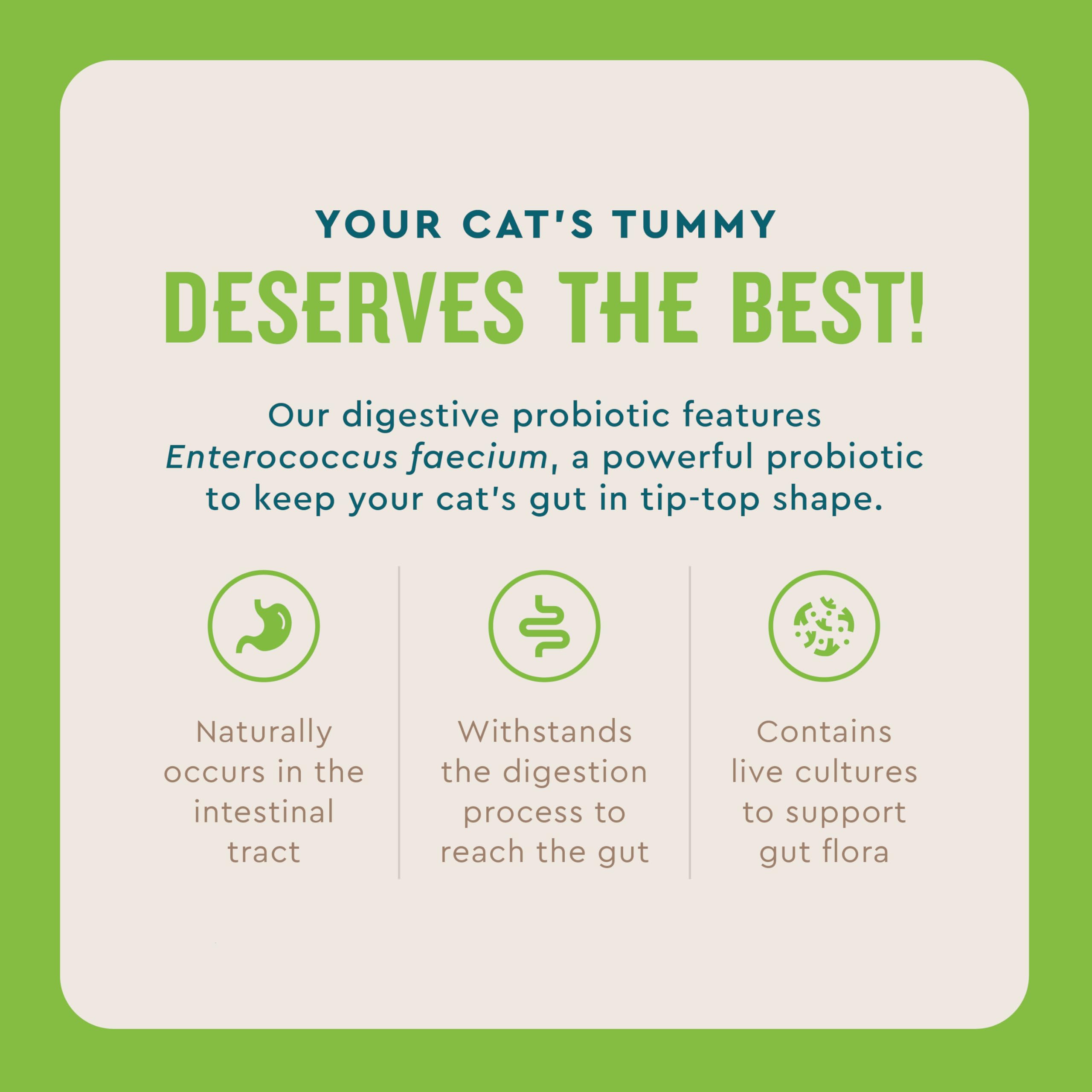 VetIQ Cat Probiotic Powder single serve packets for mess free dosing.