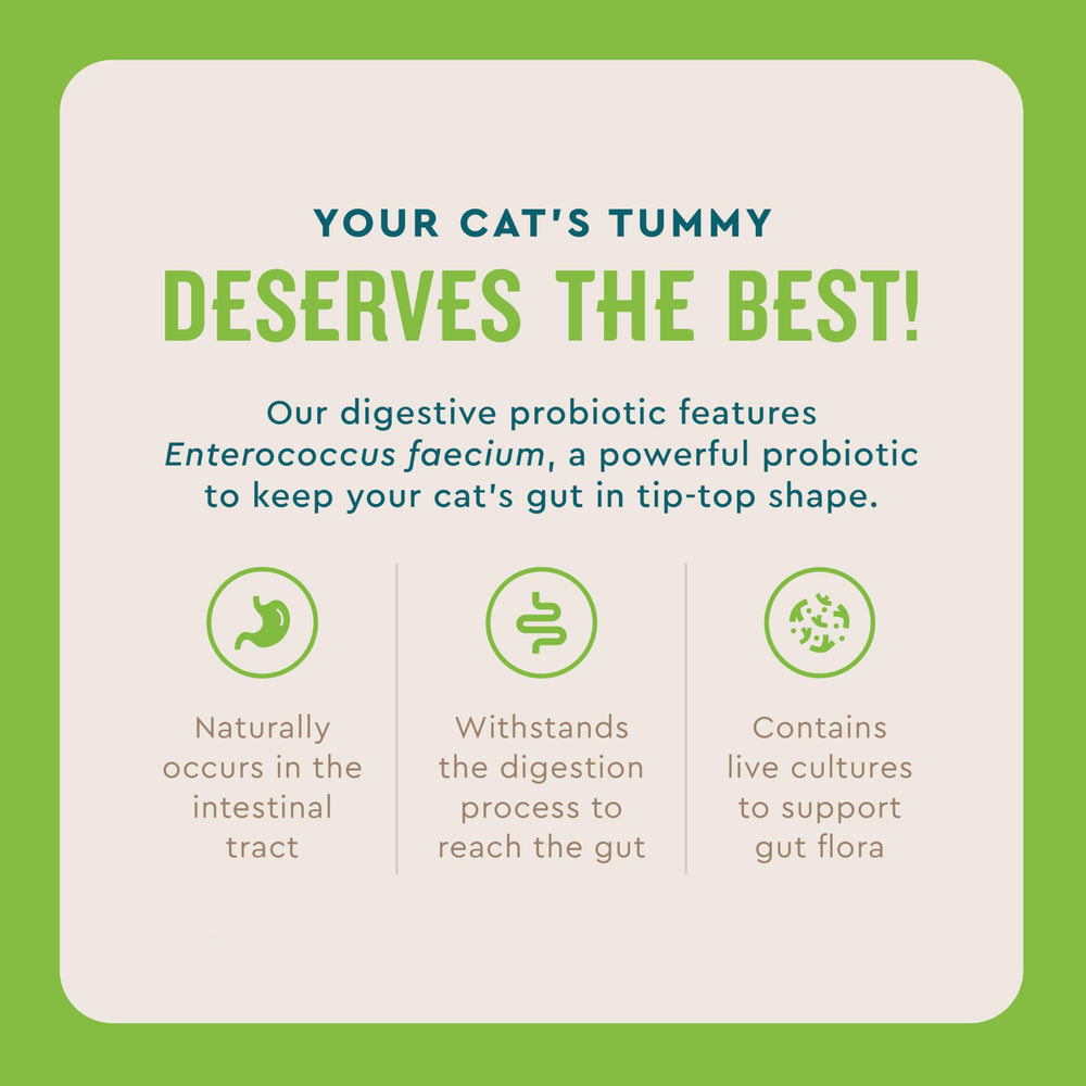 VetIQ Cat Probiotic Powder single serve packets for mess free dosing.